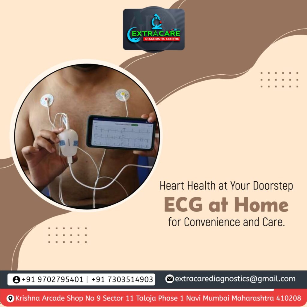 portable ecg kit